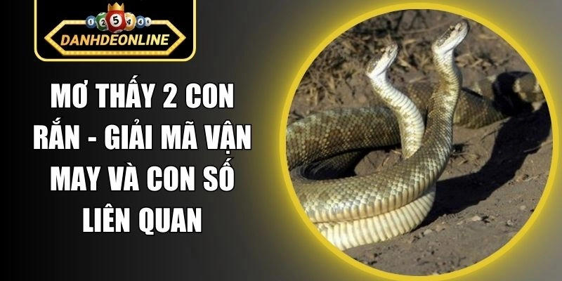 Mơ Thấy 2 Con Rắn – Giải Mã Vận May Và Con Số Liên Quan